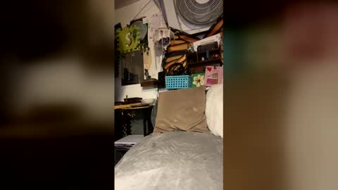 livpiper online show from 04-29-26, 05:41