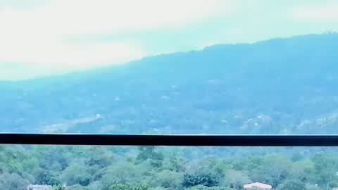 Lynx Mist online show from 01-13-26, 09:53