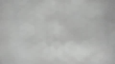 L O L Y -- E B O N Y online show from 04-17-26, 08:23