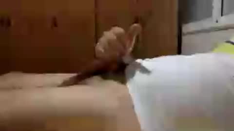 Handsome Cock online show from 07-30-26, 10:53