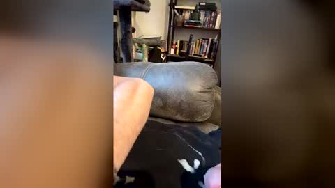 Snapshot of longhairhunky chatting on 03-07-26, 11:35 longhairhunky online show from 03-07-26, 11:35