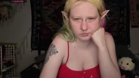Lori Critter online show from 05-15-26, 11:23