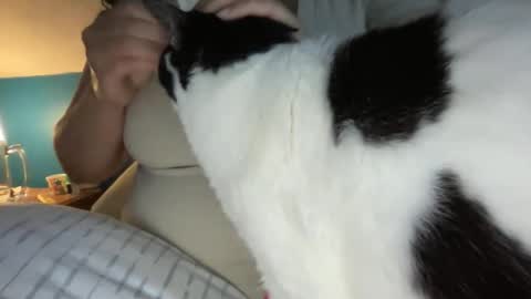 Snapshot of loveablekate chatting on 04-25-26, 10:51 Kate online show from 04-25-26, 10:51