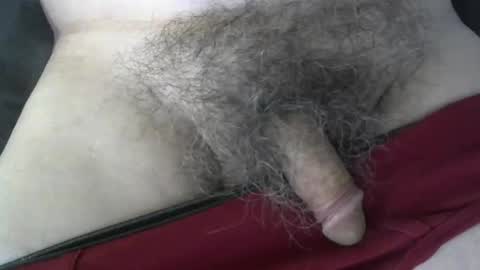 loveabush49 online show from 09-26-25, 08:57