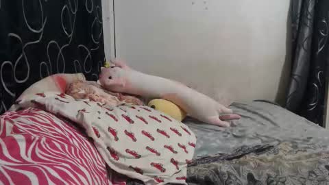 loveme114 online show from 03-30-26, 12:33