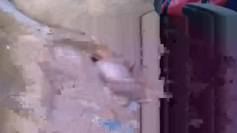 Lovesblackazz online show from 03-09-26, 03:43