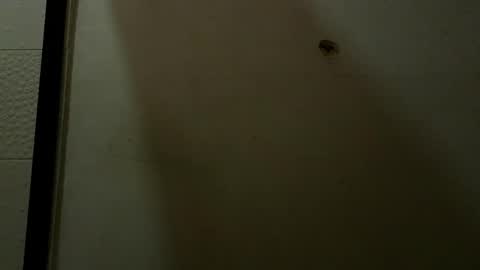 Snapshot of luci_ramirez chatting on 05-09-26, 09:42 Luciana Ramirez Sofia Collins online show from 05-09-26, 09:42