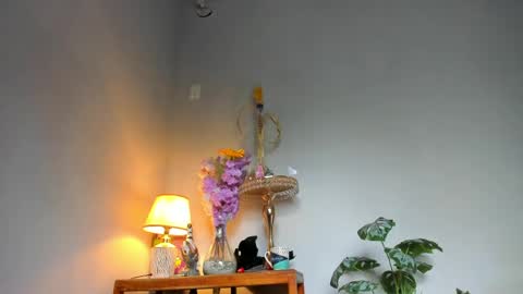 Snapshot of lucian_davii chatting on 04-22-26, 02:18 Pirulo online show from 04-22-26, 02:18