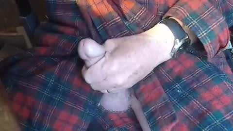 BIG Daddy cock. Tips make it harder  online show from 05-23-26, 09:24