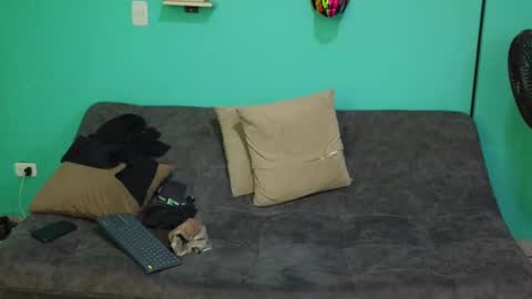 Snapshot of luigisb chatting on 02-19-25, 02:33 Luigi online show from 02-19-25, 02:33