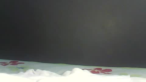 Bee Bee online show from 02-09-26, 01:42