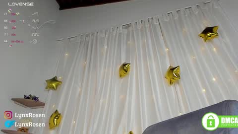 Lynx Rosen online show from 01-11-25, 04:06