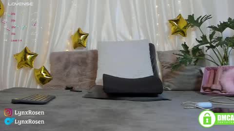 Lynx Rosen online show from 01-17-25, 09:06