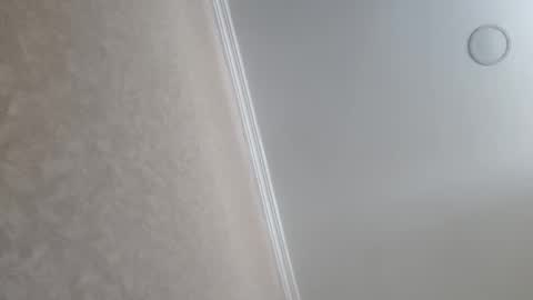 Tchia online show from 02-23-26, 09:39