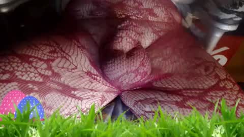 maestro2017 online show from 04-12-26, 12:15