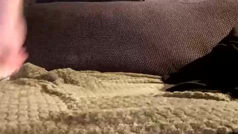 Snapshot of mako998843 chatting on 01-06-26, 10:01 mako998843 online show from 01-06-26, 10:01