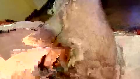 Snapshot of mako998843 chatting on 02-15-26, 07:32 mako998843 online show from 02-15-26, 07:32