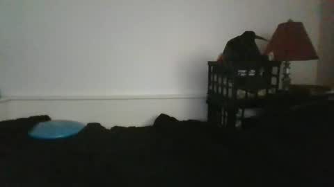 CommandbondageNipples bondage kink submissive lovense slave wgear. modequiethvyBondage If Password goldfish online show from 05-31-26, 12:23