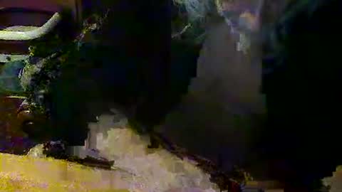 Snapshot of mangochurro chatting on 04-30-26, 07:20 mangochurro online show from 04-30-26, 07:20