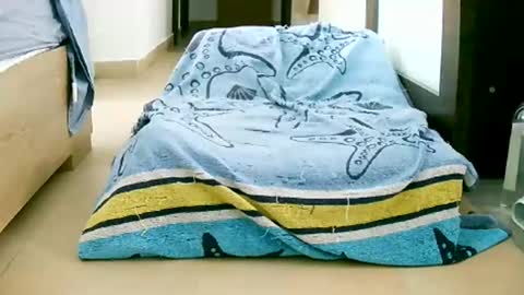 Play with me I obey I promise  online show from 10-12-25, 10:58