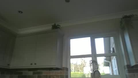 Snapshot of martinrgbxxxx chatting on 02-23-26, 09:28 martinrgbxxxx online show from 02-23-26, 09:28