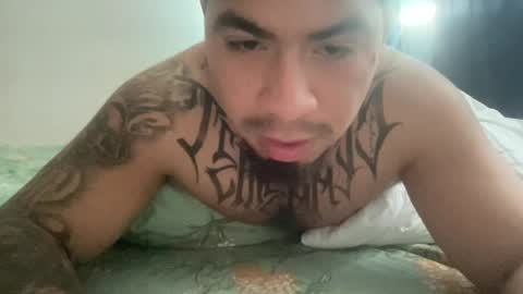    online show from 08-03-26, 08:13