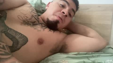    online show from 08-04-26, 08:28