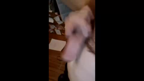 masturbator469658 online show from 03-22-26, 01:36