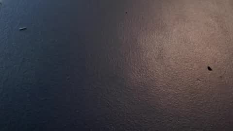 Max and Pam Voyeur Cam online show from 01-29-25, 05:09