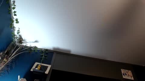 Max and Pam Voyeur Cam online show from 02-16-25, 07:48