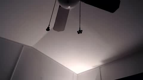 Max and Pam Voyeur Cam online show from 11-28-25, 10:29