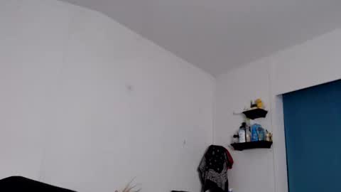 Max and Pam Voyeur Cam online show from 12-04-25, 08:01