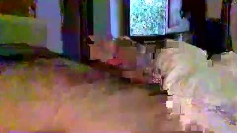 mecalientasmucho online show from 05-11-26, 04:40