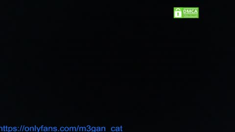 megan_cat online show from 07-04-26, 05:19