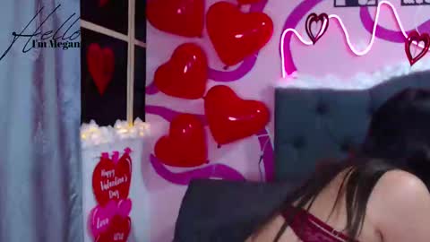 Snapshot of megann_abby chatting on 02-13-25, 12:46 Im Megan Please do not demand a show without first tiping Thank you online show from 02-13-25, 12:46