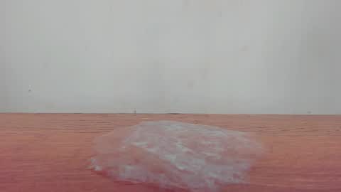 Melania online show from 01-19-26, 12:31