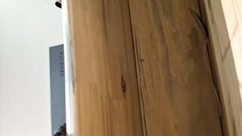 mellomike online show from 03-04-26, 05:30