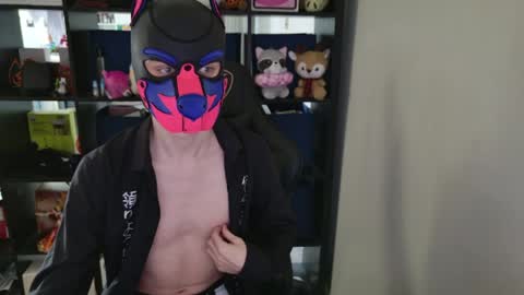 MellPUP online show from 04-01-26, 04:26