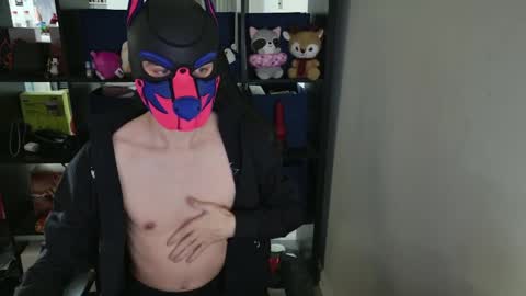 MellPUP online show from 04-02-26, 05:21