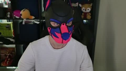 MellPUP online show from 04-08-26, 09:04