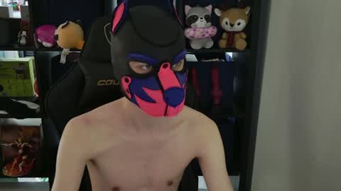 MellPUP online show from 04-09-26, 09:31