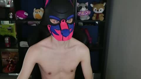MellPUP online show from 04-15-26, 12:06