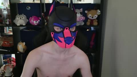MellPUP online show from 04-29-26, 06:36