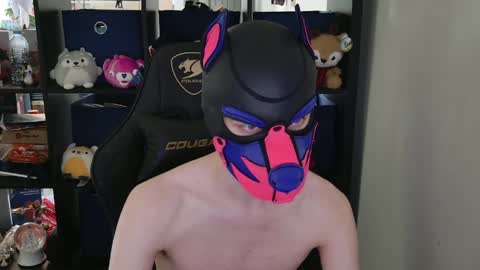 MellPUP online show from 04-30-26, 06:03