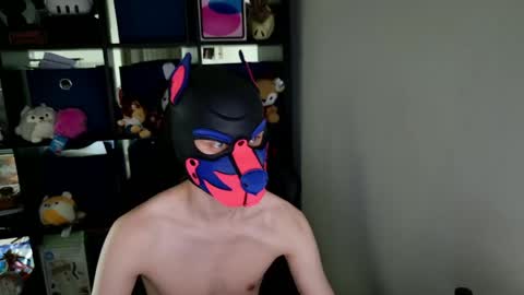MellPUP online show from 05-26-26, 03:41