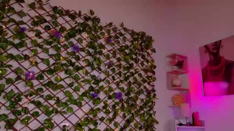melody_cute10 online show from 04-29-26, 05:30