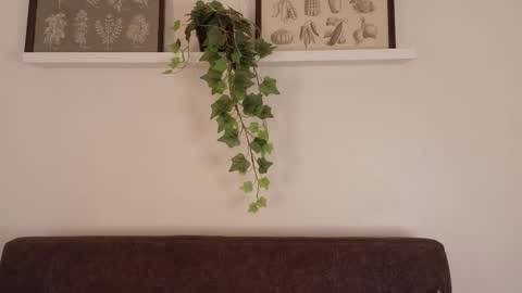 Snapshot of memphiswilliams chatting on 02-15-26, 12:03 Memphis Williams online show from 02-15-26, 12:03