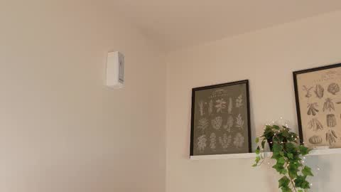 Snapshot of memphiswilliams chatting on 02-17-26, 04:20 Memphis Williams online show from 02-17-26, 04:20