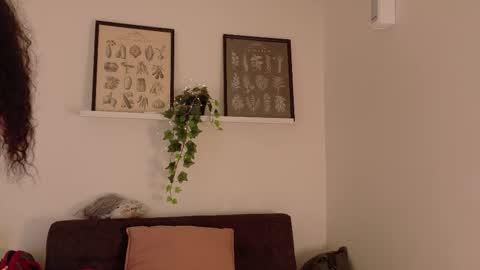 Snapshot of memphiswilliams chatting on 02-19-26, 02:40 Memphis Williams online show from 02-19-26, 02:40