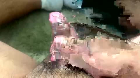 Toro loco online show from 03-26-26, 09:31